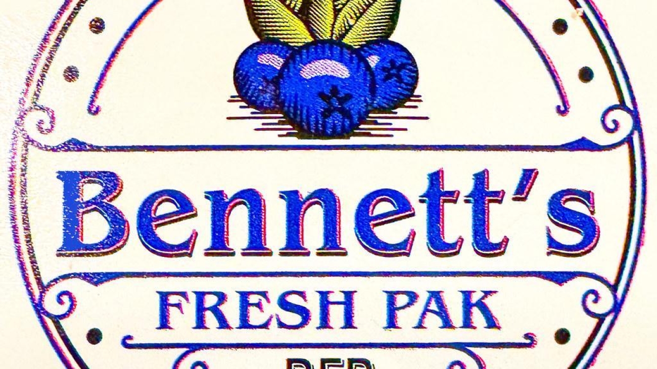 fruit